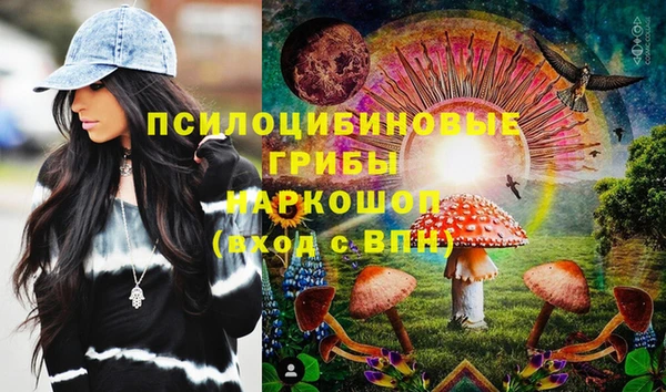 a pvp Алзамай