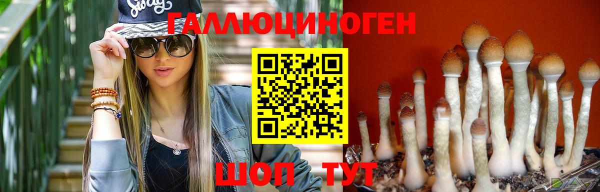 Галлюциногенные грибы Psilocybine cubensis  Вход с VPN  Галлюциногенные грибы мухоморы  где можно купить   Новочеркасск 